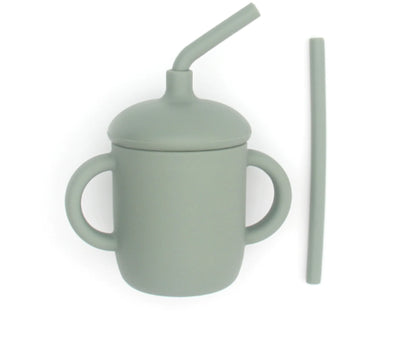 Silicone Sippy Cup with Straw